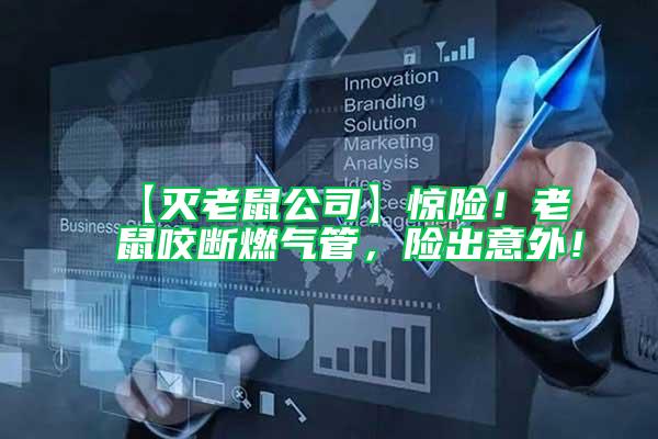 【滅老鼠公司】驚險！老鼠咬斷燃?xì)夤埽U出意外！