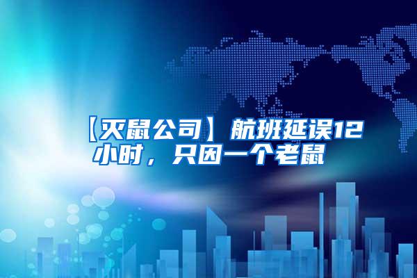 【滅鼠公司】航班延誤12小時，只因一個老鼠