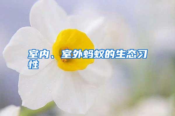 室內(nèi)、室外螞蟻的生態(tài)習(xí)性