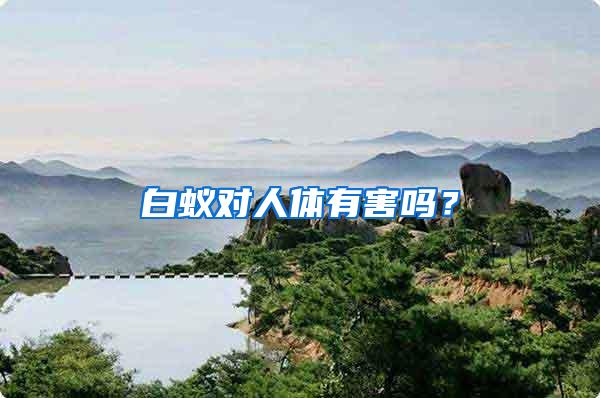白蟻對(duì)人體有害嗎？