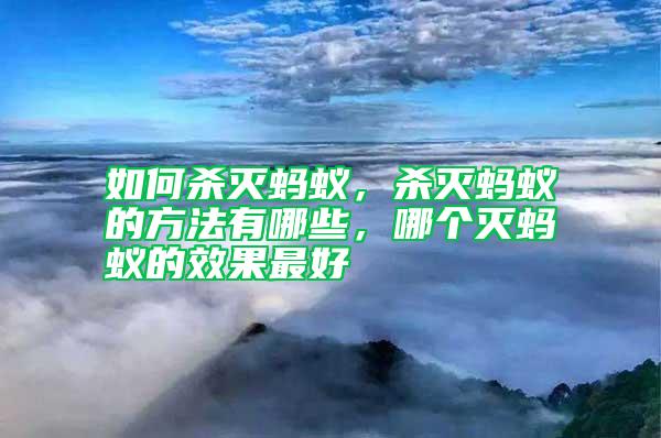 如何殺滅螞蟻，殺滅螞蟻的方法有哪些，哪個滅螞蟻的效果最好