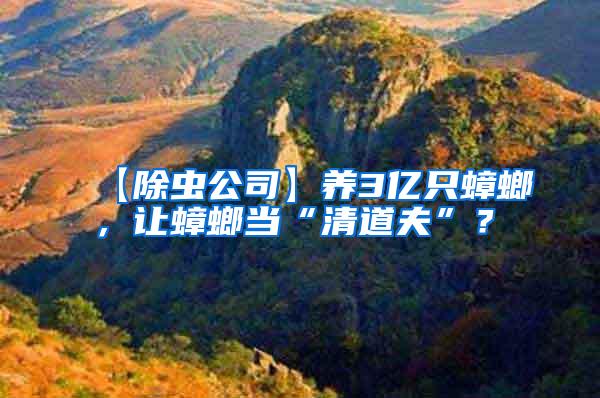 【除蟲公司】養3億只蟑螂，讓蟑螂當“清道夫”？