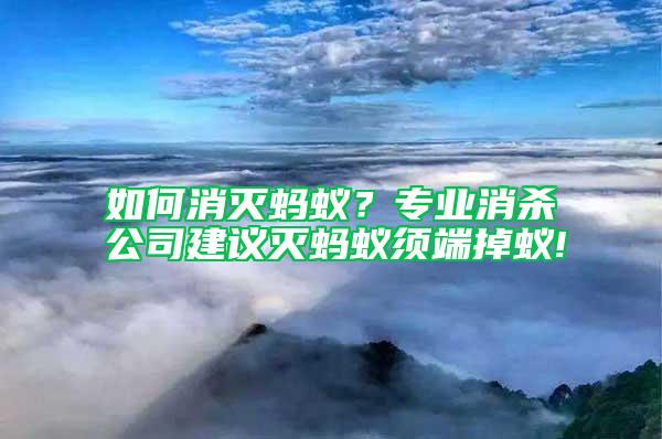如何消滅螞蟻？專業消殺公司建議滅螞蟻須端掉蟻!