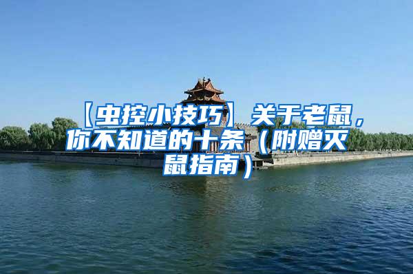 【蟲控小技巧】關(guān)于老鼠，你不知道的十條（附贈滅鼠指南）