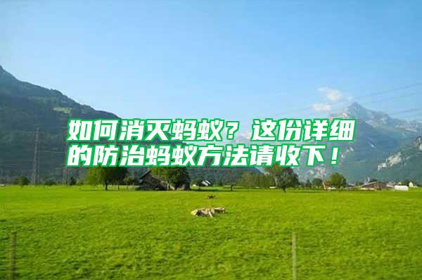 如何消滅螞蟻？這份詳細(xì)的防治螞蟻方法請(qǐng)收下！
