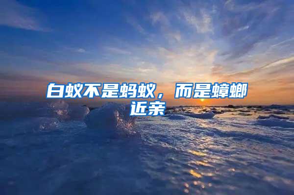 白蟻不是螞蟻，而是蟑螂近親