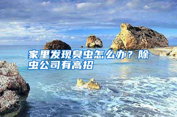 家里發現臭蟲怎么辦？除蟲公司有高招