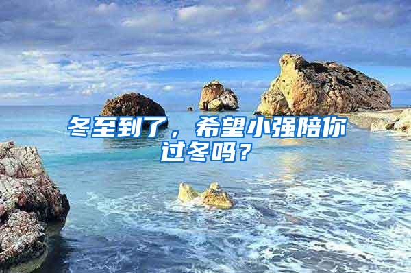 冬至到了，希望小強(qiáng)陪你過冬嗎？