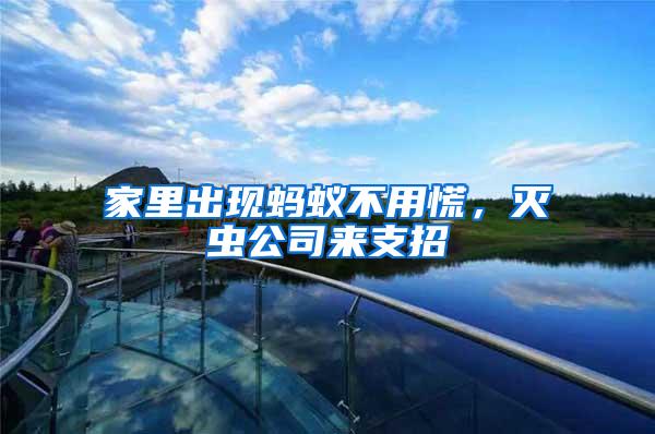 家里出現螞蟻不用慌，滅蟲公司來支招