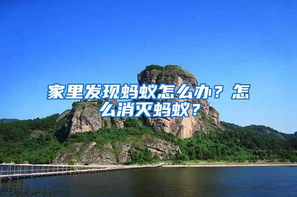 家里發現螞蟻怎么辦？怎么消滅螞蟻？