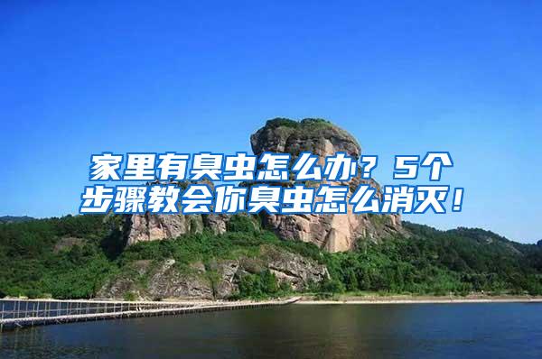 家里有臭蟲怎么辦？5個步驟教會你臭蟲怎么消滅！