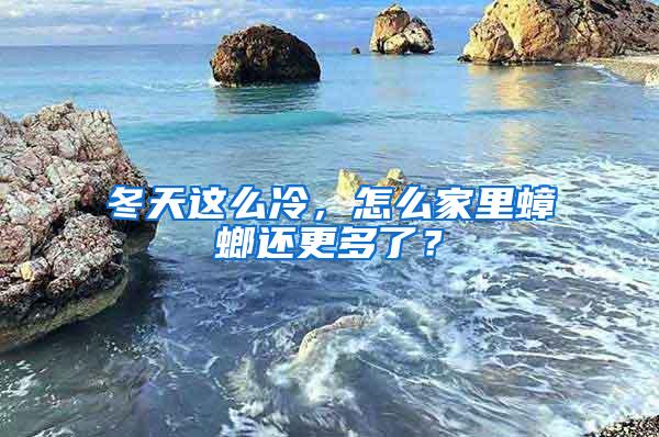 冬天這么冷，怎么家里蟑螂還更多了？