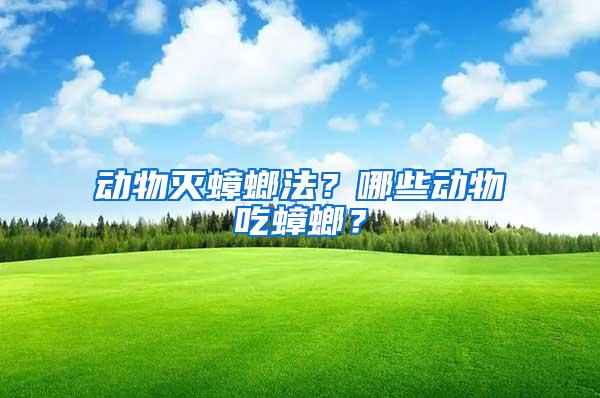 動物滅蟑螂法？哪些動物吃蟑螂？
