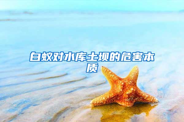 白蟻對(duì)水庫土壩的危害本質(zhì)