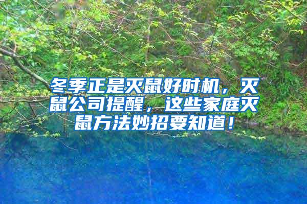 冬季正是滅鼠好時機(jī)，滅鼠公司提醒，這些家庭滅鼠方法妙招要知道！
