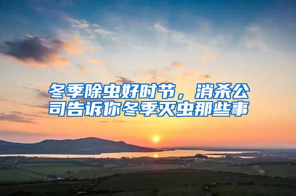 冬季除蟲好時節，消殺公司告訴你冬季滅蟲那些事