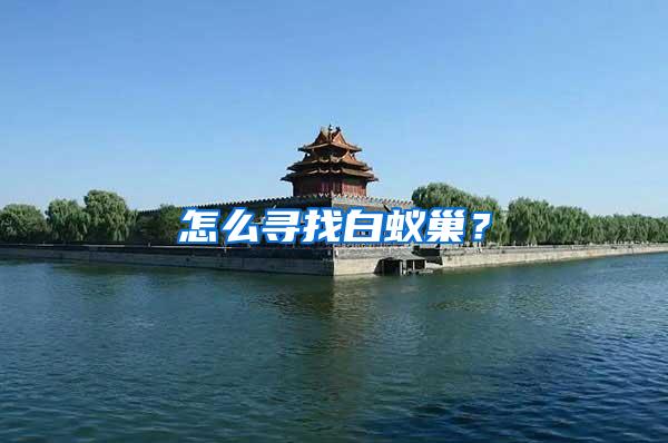 怎么尋找白蟻巢？