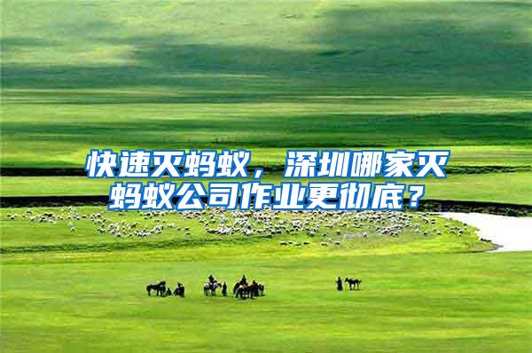 快速滅螞蟻，深圳哪家滅螞蟻公司作業更徹底？