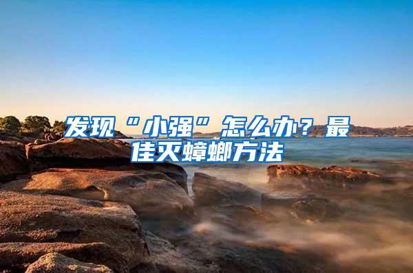 發(fā)現(xiàn)“小強(qiáng)”怎么辦？最佳滅蟑螂方法