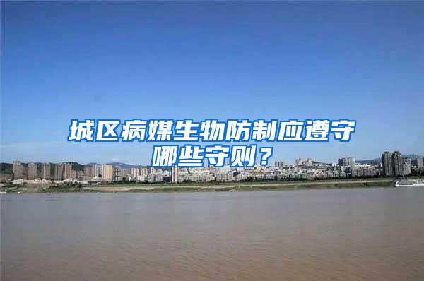 城區(qū)病媒生物防制應(yīng)遵守哪些守則？