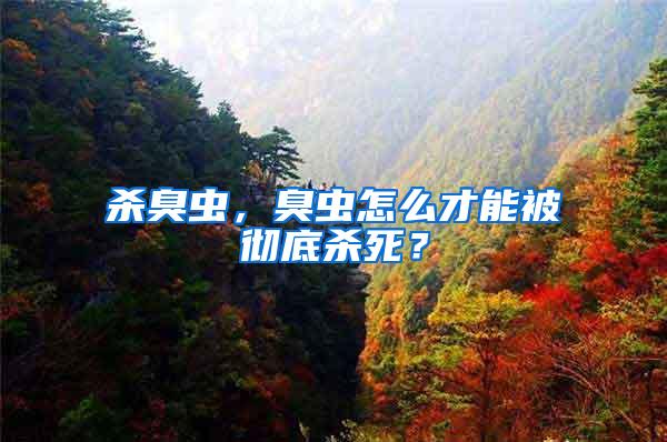 殺臭蟲，臭蟲怎么才能被徹底殺死？