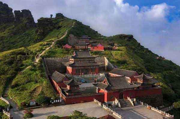 暖氣帶來(lái)“蟻災(zāi)”，滅蟲(chóng)公司支招家里有螞蟻怎么辦