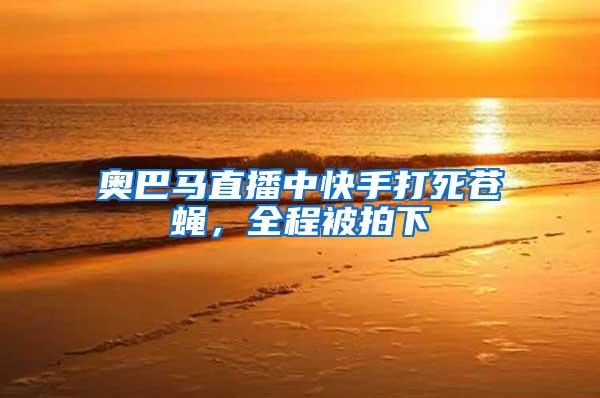 奧巴馬直播中快手打死蒼蠅，全程被拍下