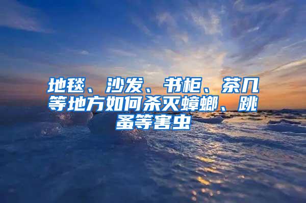 地毯、沙發、書柜、茶幾等地方如何殺滅蟑螂、跳蚤等害蟲