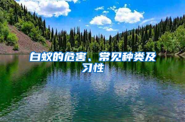 白蟻的危害、常見(jiàn)種類及習(xí)性