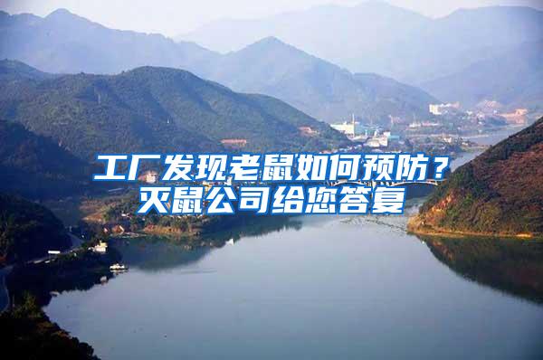 工廠發現老鼠如何預防？滅鼠公司給您答復