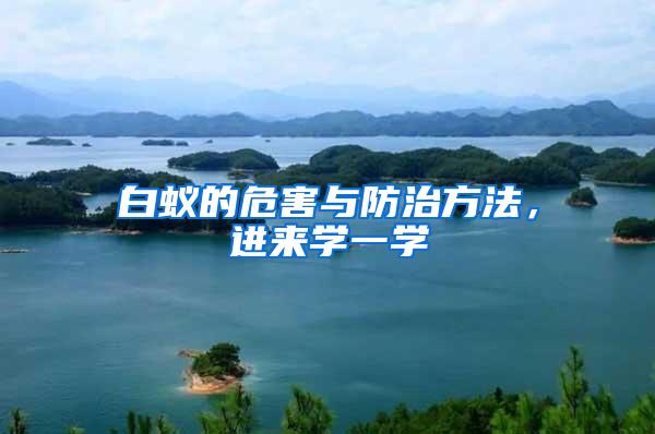 白蟻的危害與防治方法，進來學一學