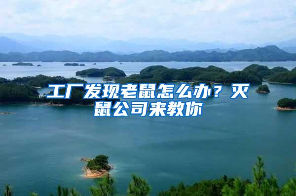 工廠發現老鼠怎么辦？滅鼠公司來教你