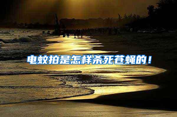 電蚊拍是怎樣殺死蒼蠅的！
