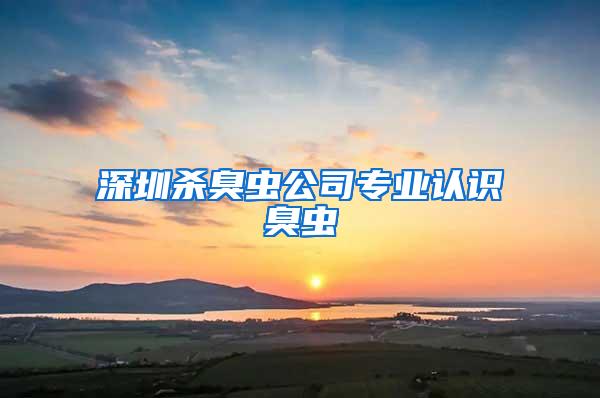 深圳殺臭蟲公司專業(yè)認(rèn)識(shí)臭蟲