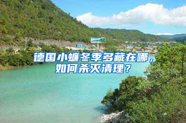 德國小蠊冬季多藏在哪，如何殺滅清理？