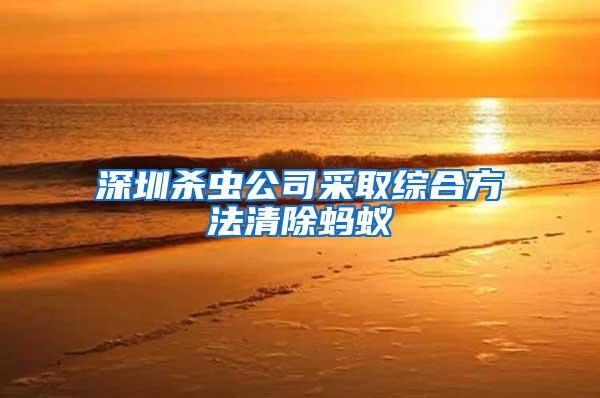 深圳殺蟲(chóng)公司采取綜合方法清除螞蟻