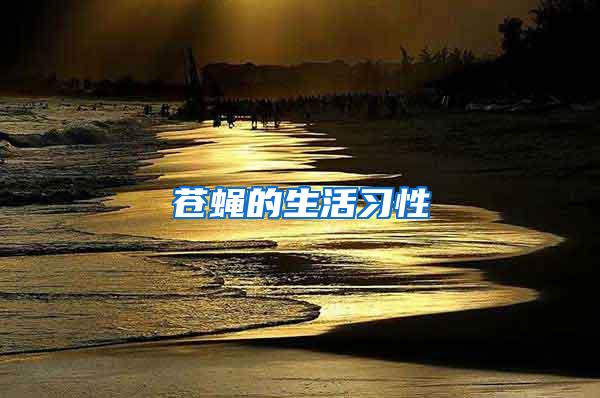 蒼蠅的生活習(xí)性