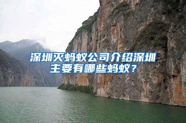 深圳滅螞蟻公司介紹深圳主要有哪些螞蟻？