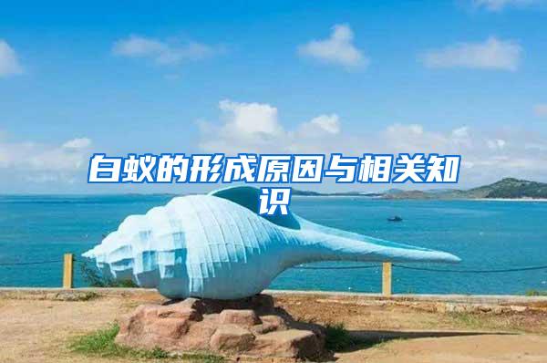 白蟻的形成原因與相關(guān)知識(shí)
