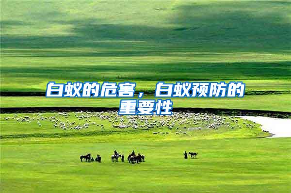 白蟻的危害，白蟻預(yù)防的重要性