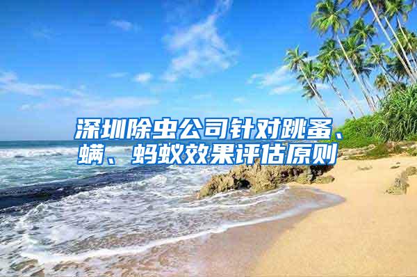深圳除蟲公司針對跳蚤、螨、螞蟻效果評估原則