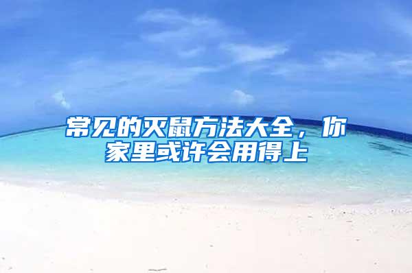 常見的滅鼠方法大全，你家里或許會用得上