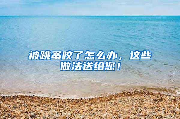 被跳蚤咬了怎么辦，這些做法送給您！
