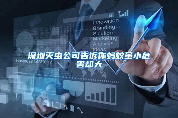 深圳滅蟲(chóng)公司告訴你螞蟻雖小危害卻大
