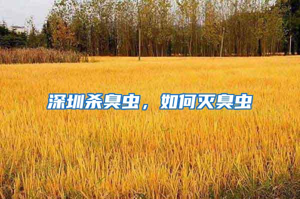 深圳殺臭蟲，如何滅臭蟲
