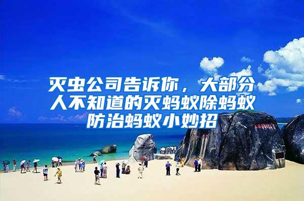 滅蟲公司告訴你，大部分人不知道的滅螞蟻除螞蟻防治螞蟻小妙招